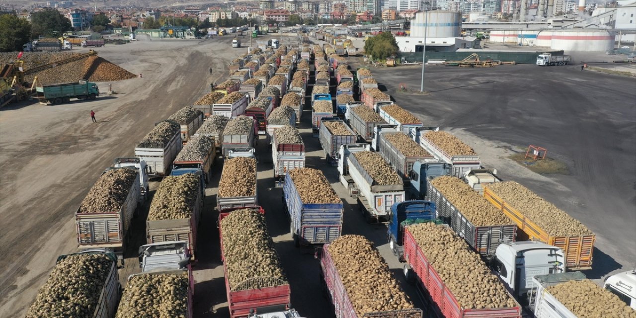 İklim Değişikliği Şeker Üretimini Olumsuz Etkiledi