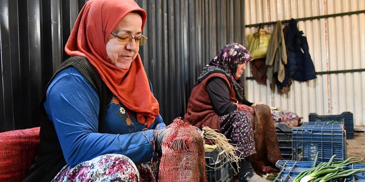 Bilecik'te Yetiştirilen Yeşil Soğan Kadınların Elinde Demetlenip Satışa Sunuluyor