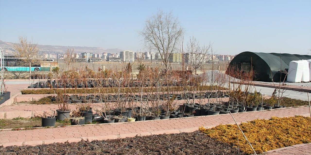 Yükümlü Kadınlar Belediyeye Ait Fidanlıkta Meslek Öğreniyor