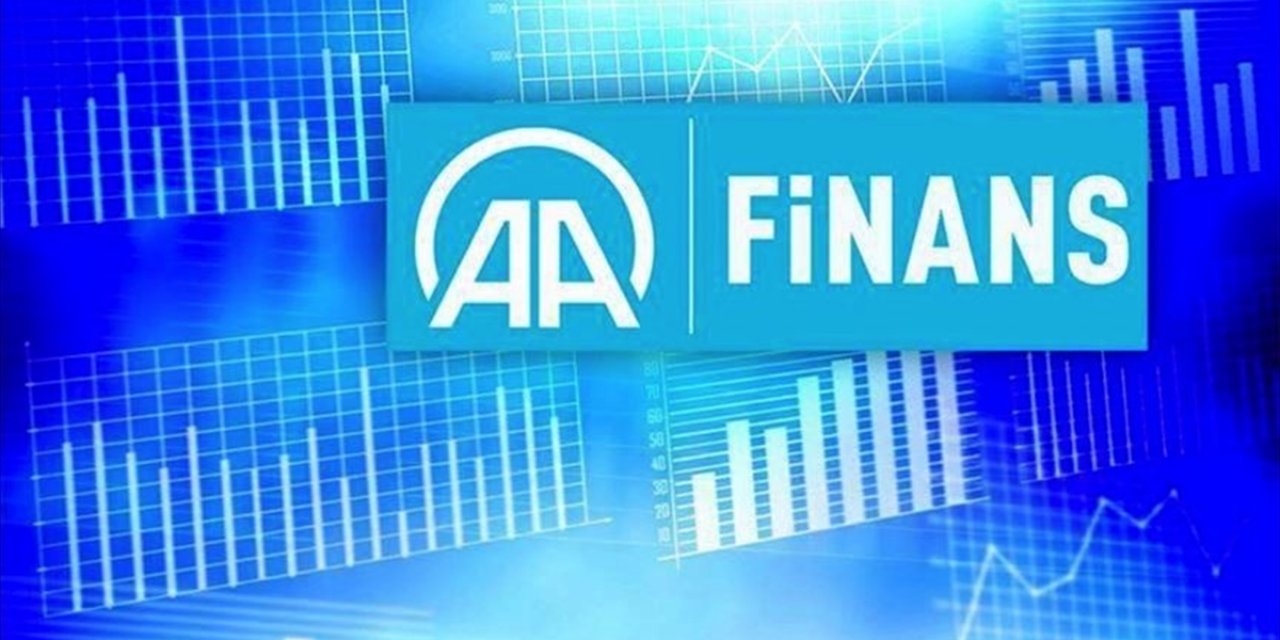AA Finans Ödemeler Dengesi Beklenti Anketi Sonuçlandı