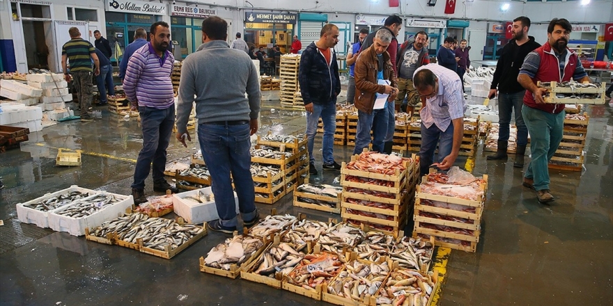 Ege'de Balık Bereketi