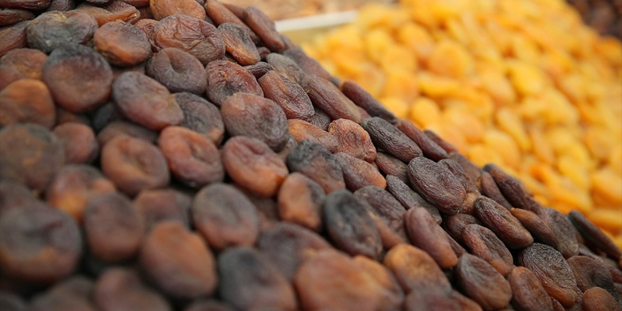 Kayısı İhracatı Depremden Zarar Gören Malatya'ya İki Yılda 819 Milyon Dolar Kazandırdı