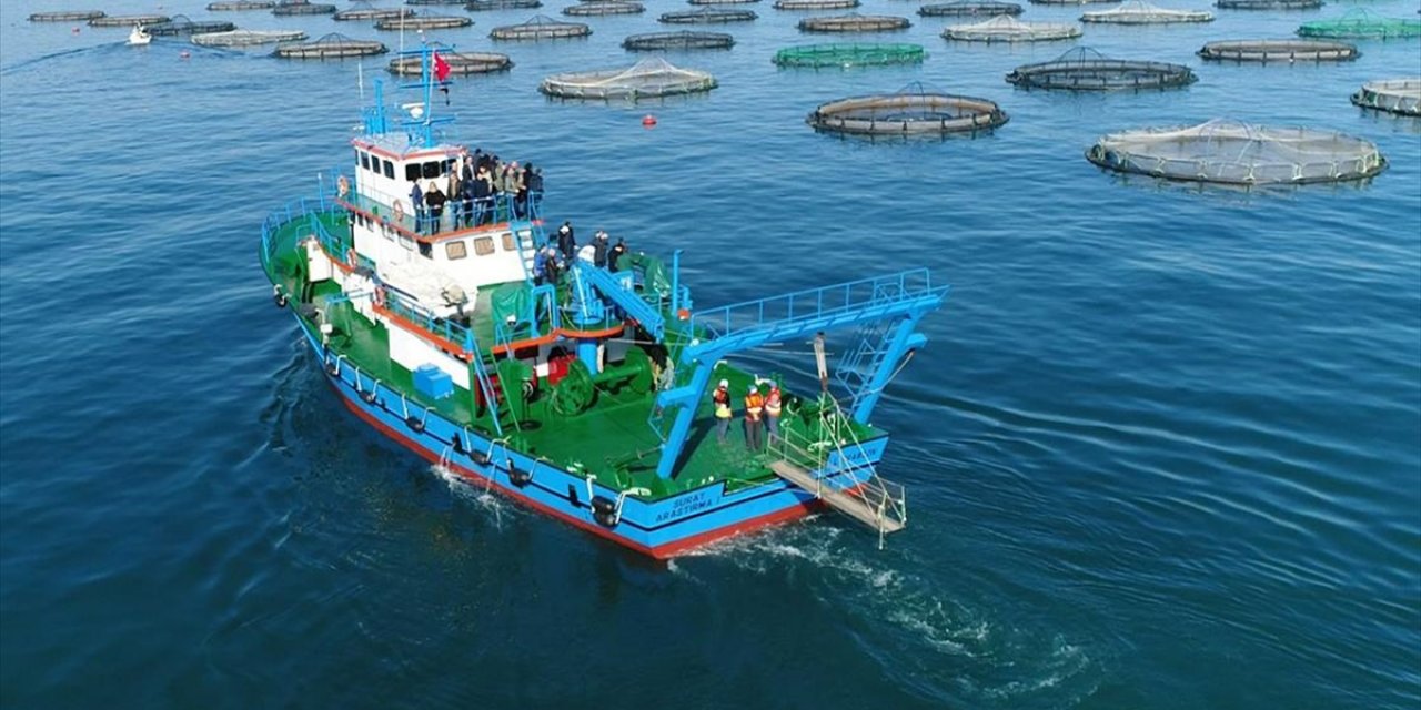 Doğu Karadeniz'in Yılın İlk 2 Ayında Su Ürünleri İhracat Geliri 15 Milyon Doları Aştı