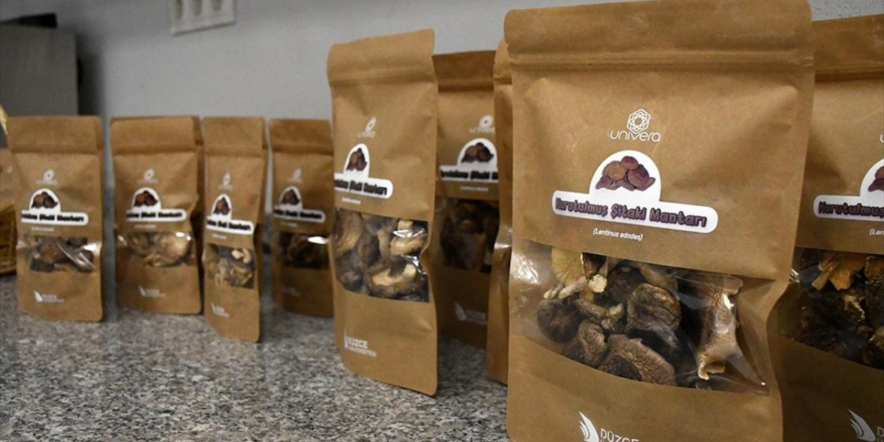 Düzce Üniversitesi Bölgesel Kalkınmaya Projeleriyle Katkı Sunuyor