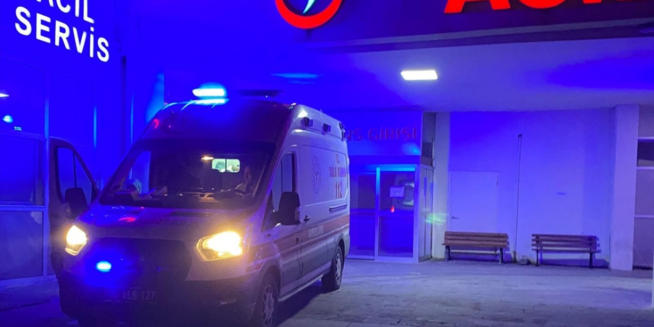 Isparta'da Sahipsiz Köpeğin Saldırdığı Çocuk Yaralandı