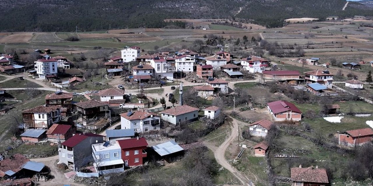 Yüzde 68'i Ormanlardan Oluşan Sinop'ta Orköy Orman Köylülerine Can Suyu Oluyor
