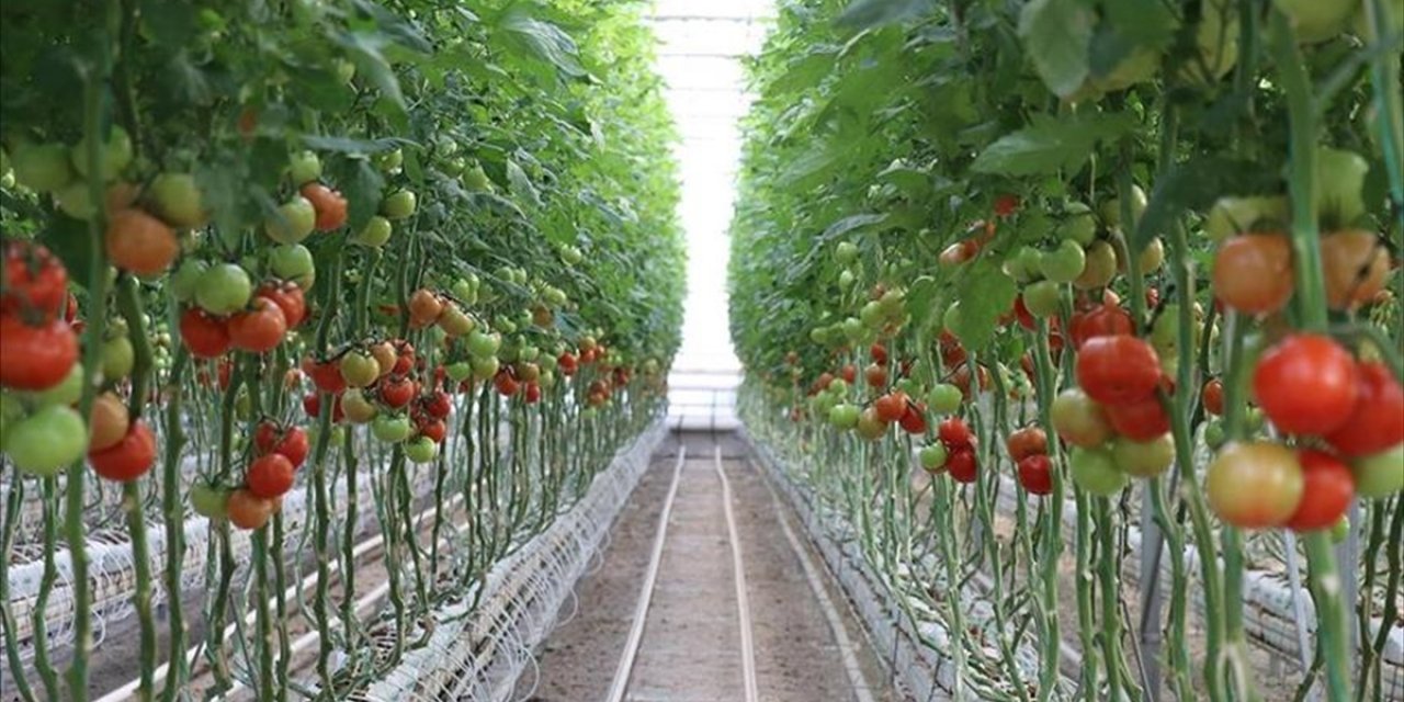 Yozgat'ta Kurulacak Sera Organize Tarım Bölgesi İstihdama da Ekonomiye De Katkı Sağlayacak