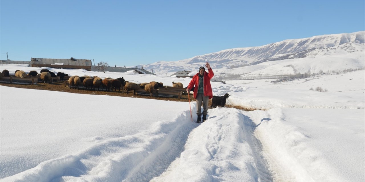 Bitlis ve Muş'ta Besicilerin Karla Kaplı Köylerdeki Mesaisi Sürüyor