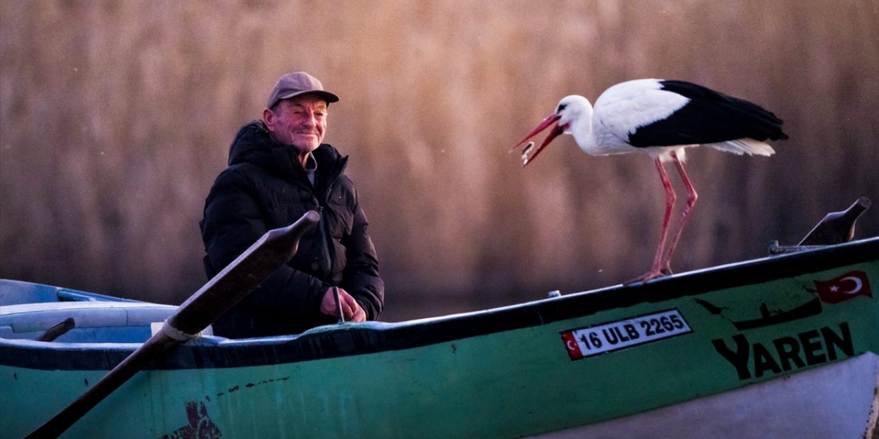 "Yaren" Leylek Göl Manzaralı Yuvasının Bulunduğu Bursa'ya 14'üncü Yılında Da Geldi
