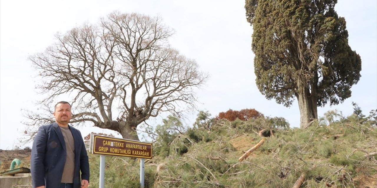 Çanakkale Savaşları'nın Tek Kadın Gazetecisi 110 Yıl Önce Cephede Yaşananları 8 Mektupla Aktarmış