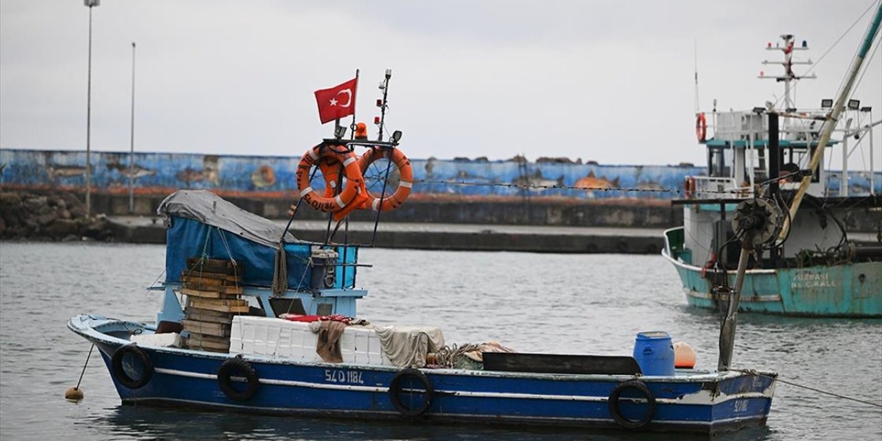 Batı Karadeniz'de Kıyı Balıkçıları, Sezonun Geri Kalanından Umutlu