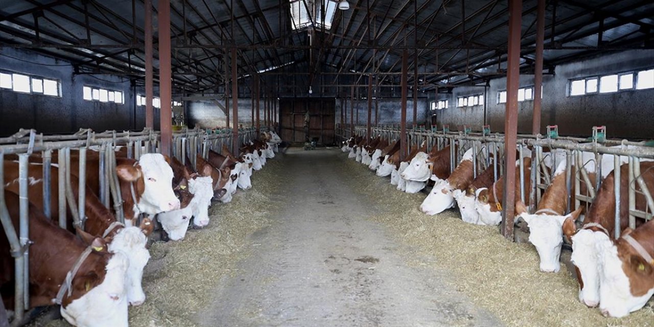 Muşlu Besici Devletin Sağladığı Desteklerle Hayal Ettiği Tesisi Kurdu