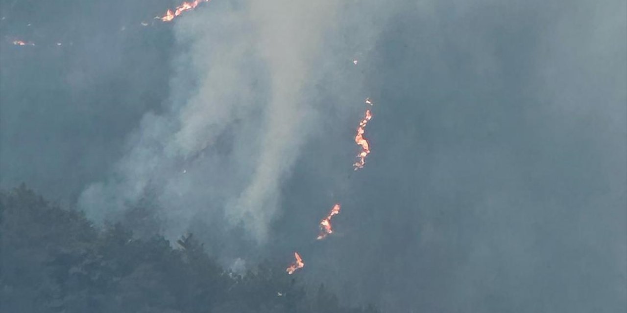 Balıkesir'de Çıkan Orman Yangınına Müdahale Ediliyor