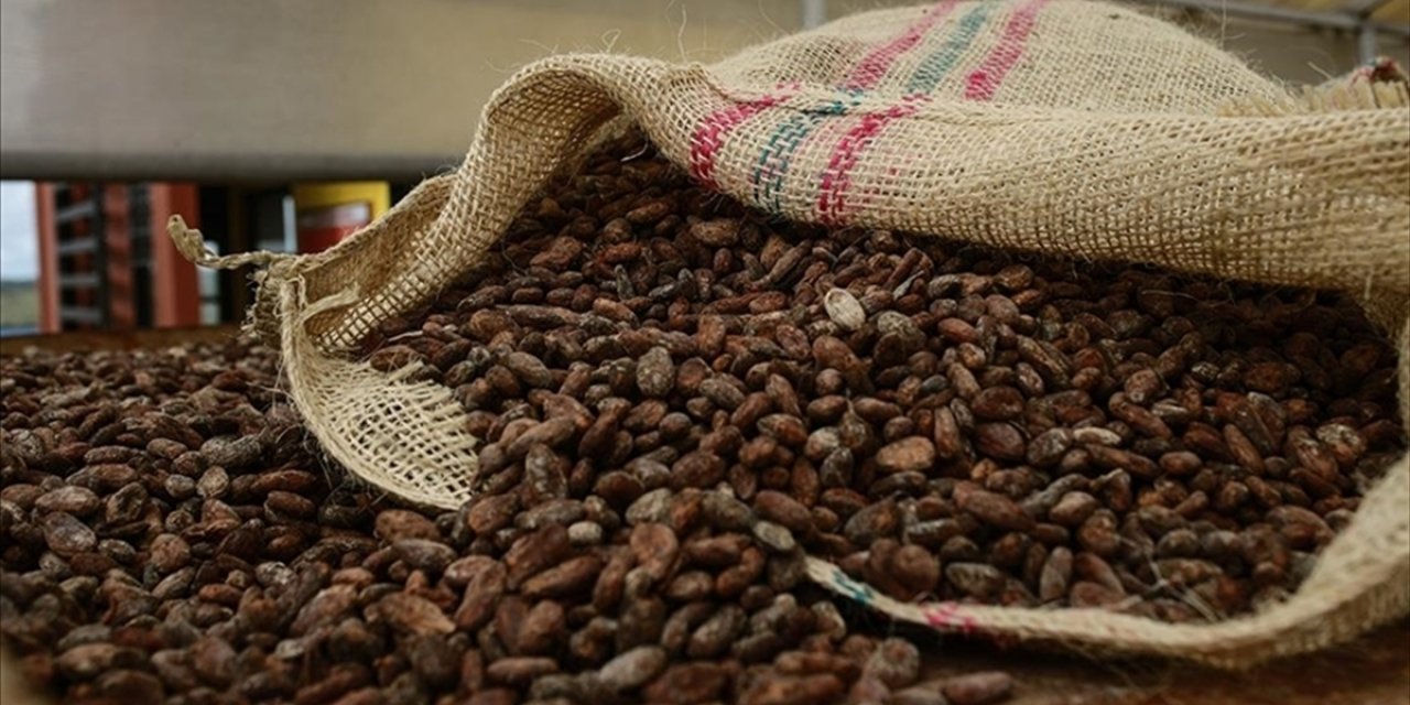 Kakao Fiyatları Bu Yıl Yüzde 30'un Üzerinde Geriledi