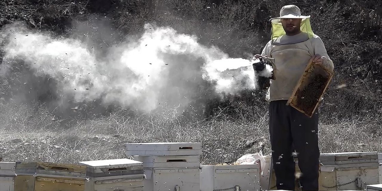Bitlisli Arıcılar Havanın Isınmasıyla Yaylalara Çıkmaya Hazırlanıyor