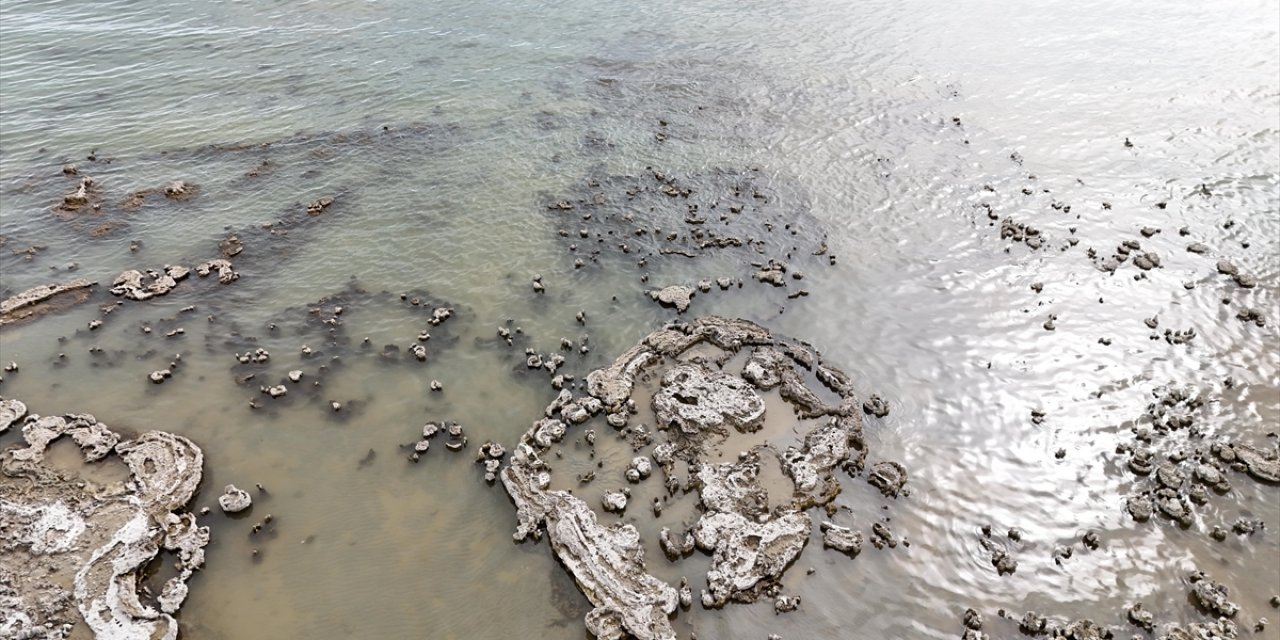 Van Gölü'ndeki Çekilme Balıkçıları Zor Durumda Bıraktı