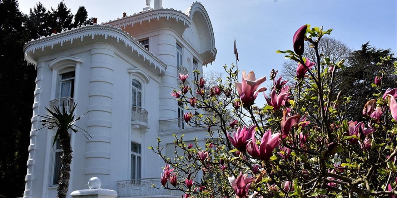 Trabzon İlkbaharın Gelmesiyle Renklendi
