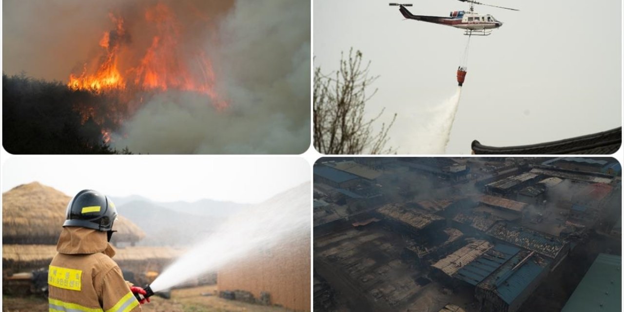 Güney Kore'deki Orman Yangınları 1 Haftanın Ardından Kontrol Altına Alındı