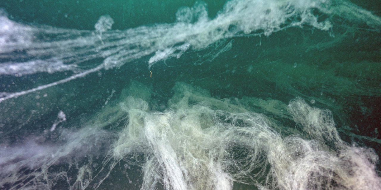 Balıkçılar Müsilajdan Dolayı Ağlarını Erken Topladı