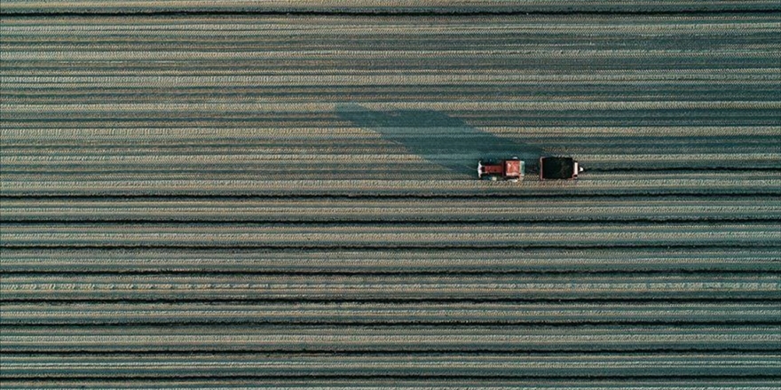 Tarım Ve Orman Şurası İçin Beyin Fırtınası