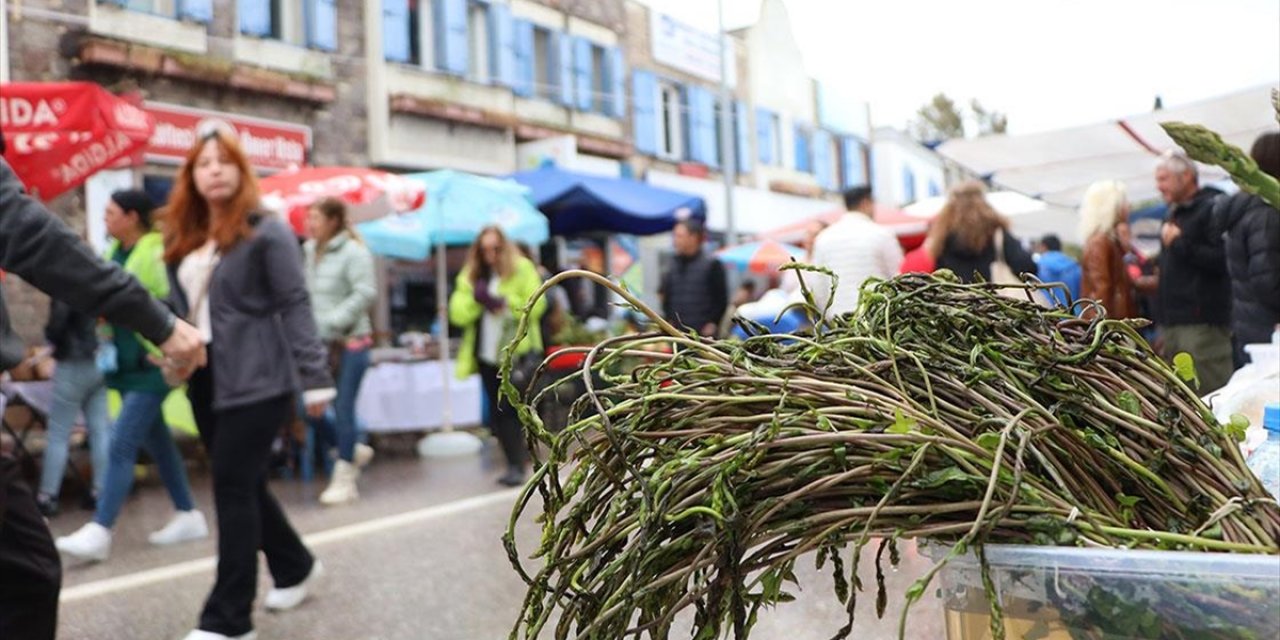 Bodrum'da "6. Acı Ot Festivali" Düzenlendi
