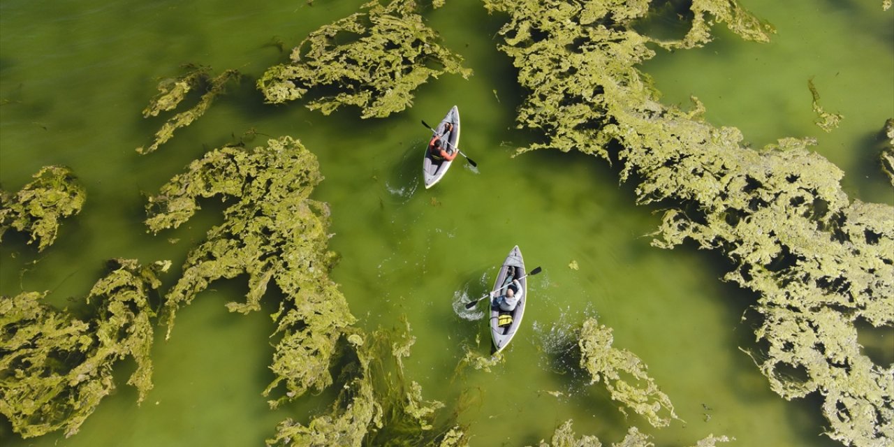 Van Gölü'nün Çekilmesiyle Ortaya Çıkan Mikrobiyalitler İlgi Çekiyor