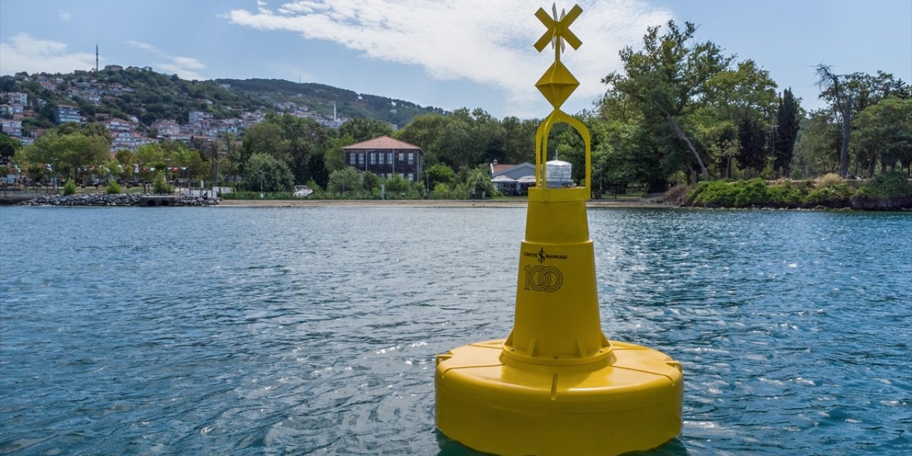 Marmara Denizi ve İstanbul Boğazı'ndaki Deniz Çayırları Şamandıralarla Korunacak