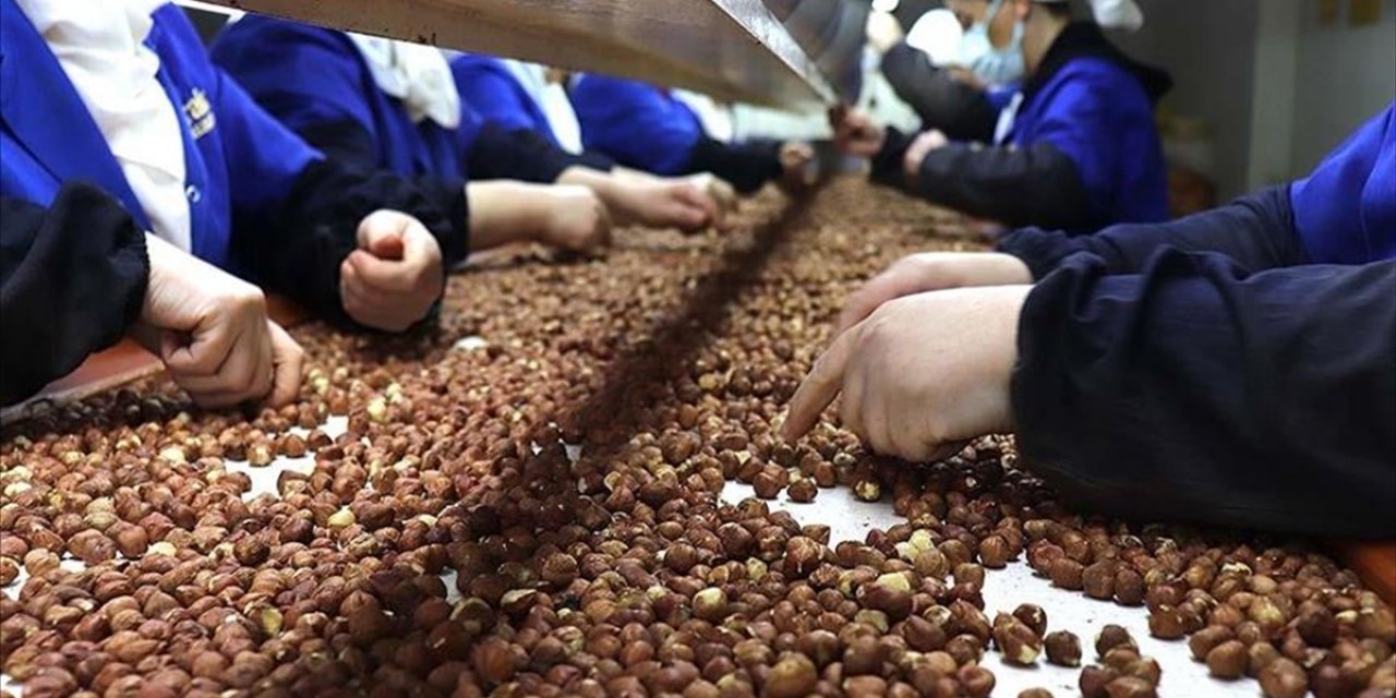 Türkiye'nin Fındık İhracatının Yüzde 36'sı Trabzon'dan Yapıldı