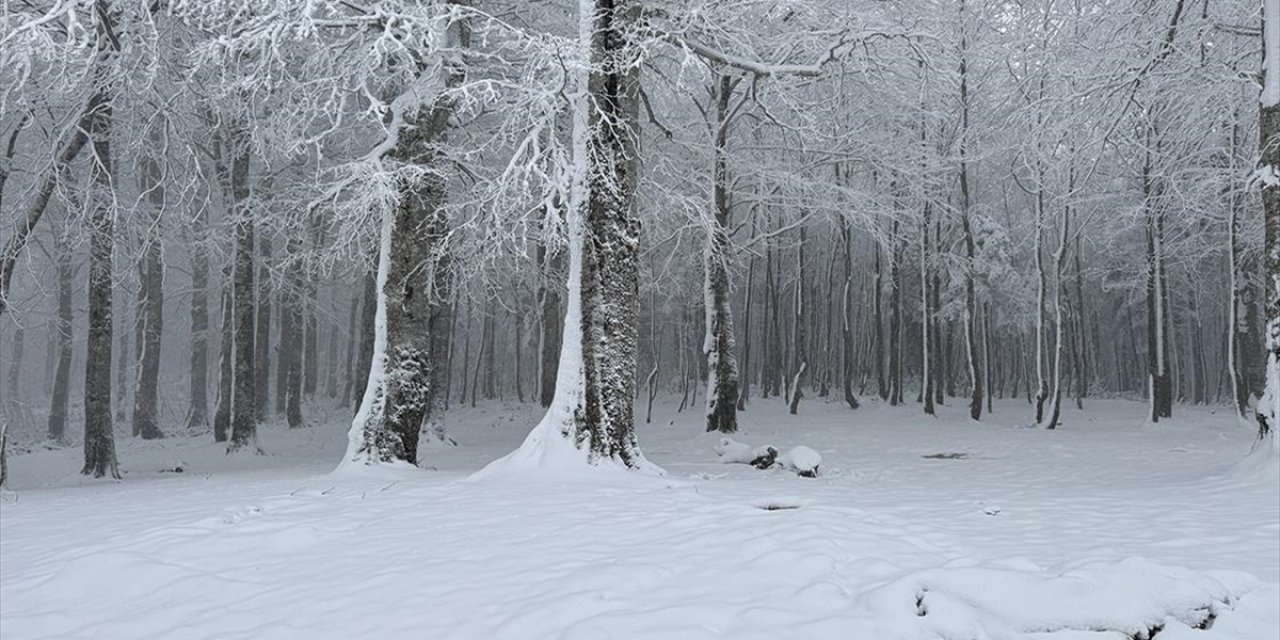 Sakarya, Kocaeli, Bolu, Düzce ve Karabük'ün Yüksek Kesimlerine Kar Yağıyor