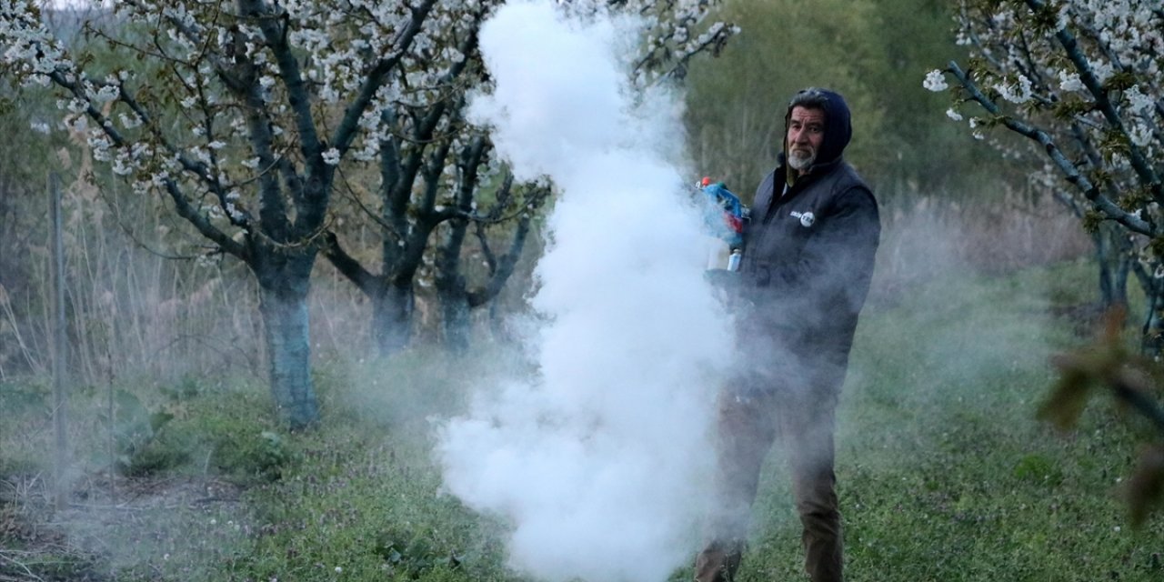 Tekirdağ'da Üreticiler "Zirai Don" Nöbeti Tutuyor