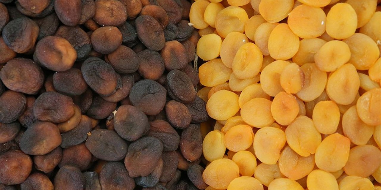 Malatya Kayısısından Yılın İlk Çeyreğinde 93 Milyon Dolar Gelir Elde Edildi