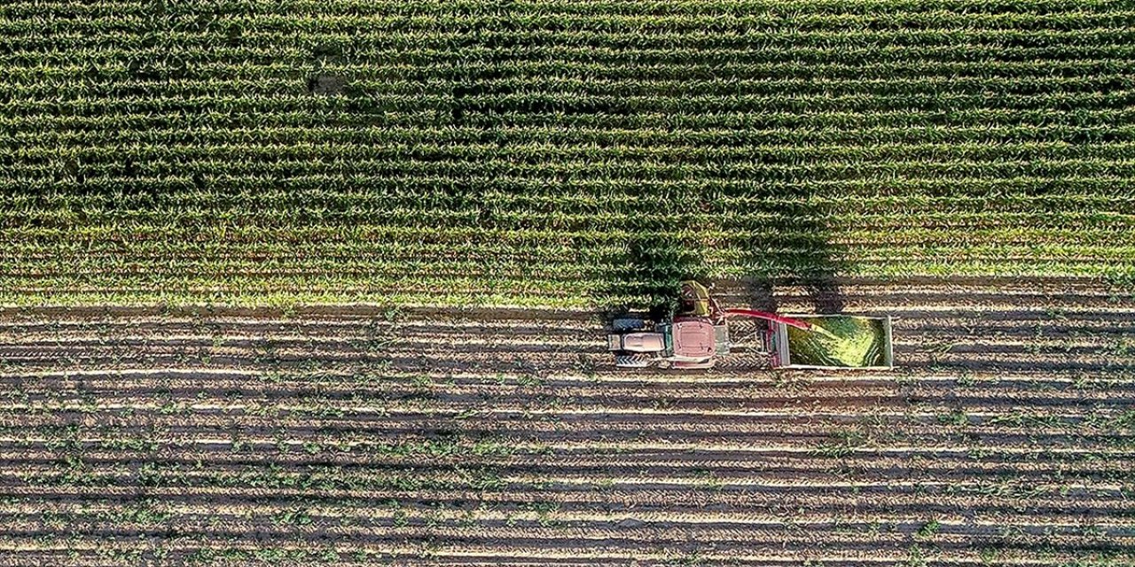 Çiftçilere Yaklaşık 5,5 Milyar Lira Destek Ödemesi Yarın Yapılacak