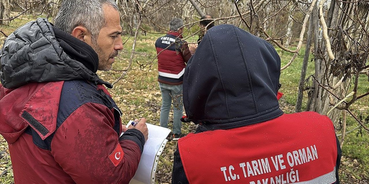 Bakan Yumaklı: Zirai Don Olayının Ardından Hasar Tespit Çalışmaları Başladı