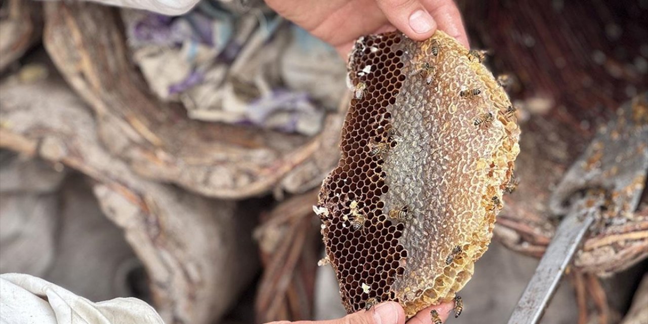 Dört Kuşaktır Arıcılık Yapan Ailesinin Üretimine Devletten Aldığı Destekle Katkı Sunacak