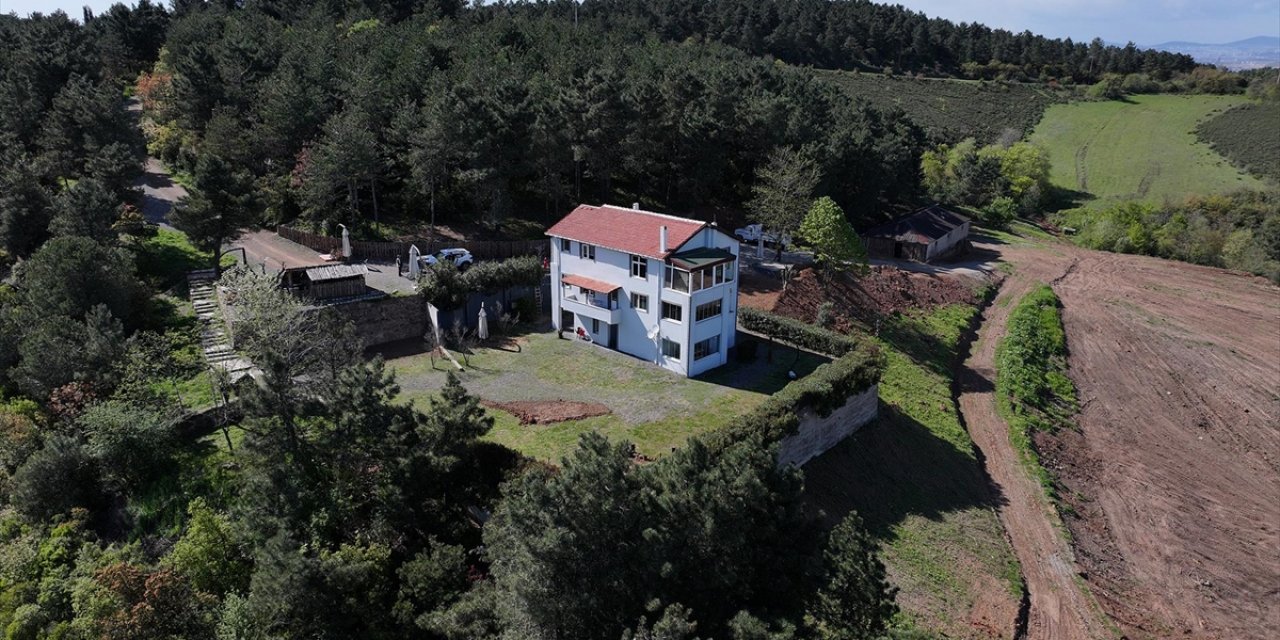 Dağın Zirvesindeki Yalnız Ev Yeni Sahibini Bekliyor