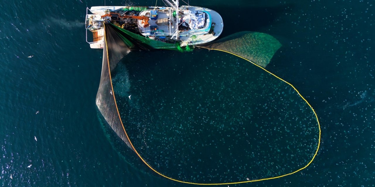 Ticari ve Amatör Amaçlı Su Ürünleri Avcılığında Kurallar Yeniden Düzenlendi