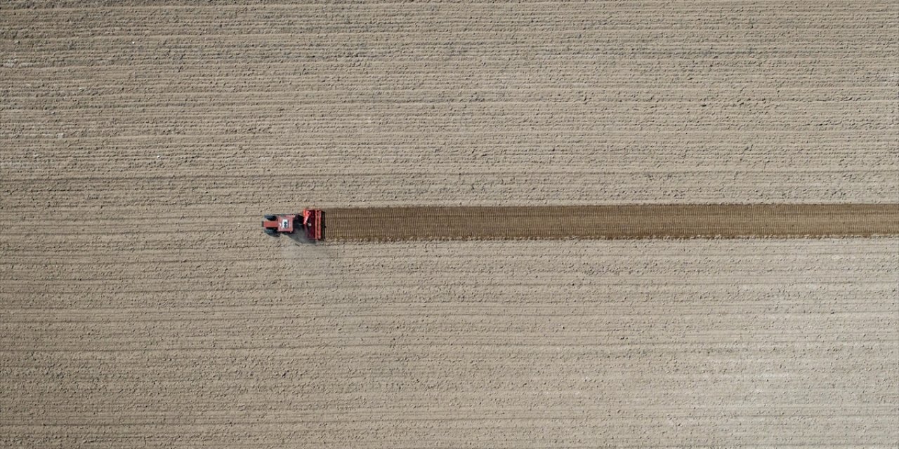 Tarım Üfe Martta Aylık Bazda Yüzde 6,91 Arttı