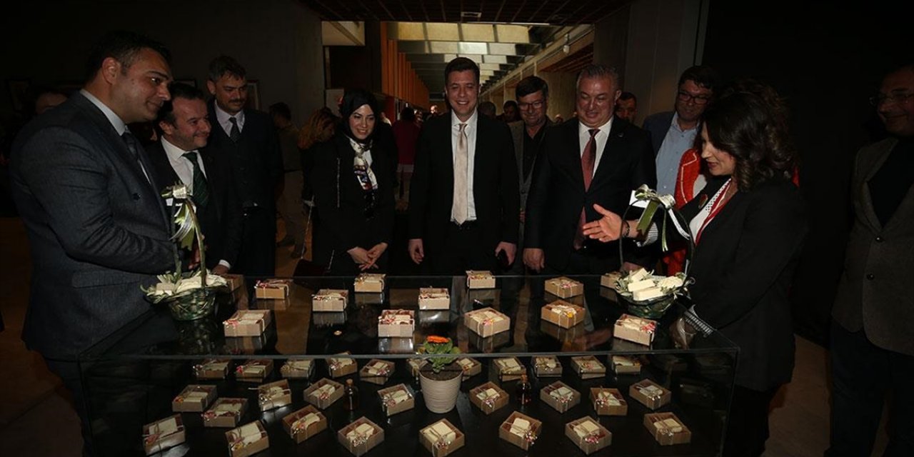 "Troya'dan Çanakkale'ye Tarihin Nakışları Sergisi" Troya Müzesinde Açıldı