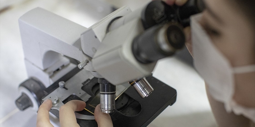 Danıştay'dan 'Yüzde 50 Artırımlı Nöbet Ücreti' Kararı