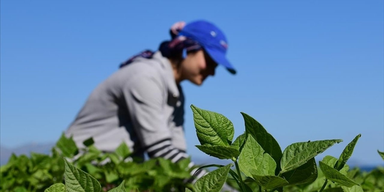 Kırsal Kalkınma Destekleri İçin Başvurular 21 Nisan'a Kadar Devam Edecek