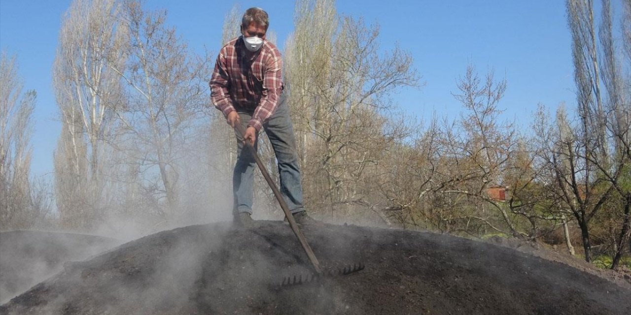 Çanakkale'den ABD ve Avrupa'ya Yıllık 60 Ton Mangal Kömürü Gönderiyor