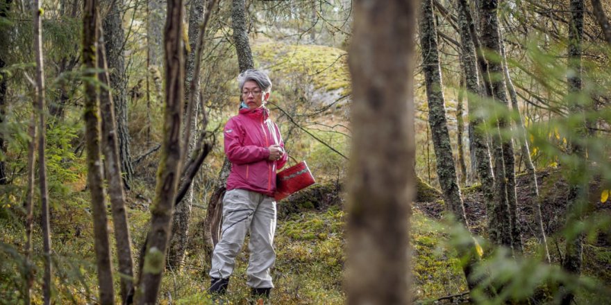 Doğan Satmış yazdı: Eşini kaybeden bir kadın, düştüğü karanlıktan mantarla nasıl kurtuldu?