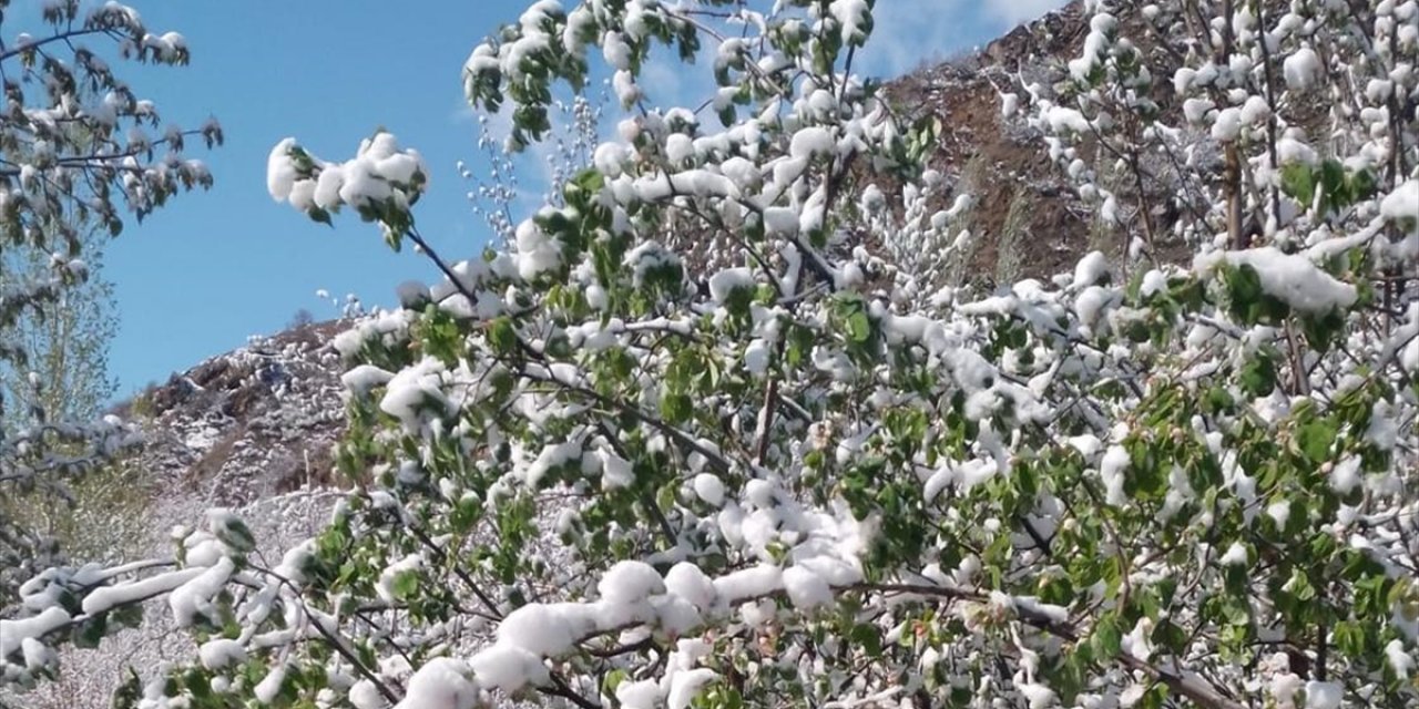 Nisan Ayında 3 İl ve 20 İlçede En Düşük Sıcaklık Rekoru Kırıldı
