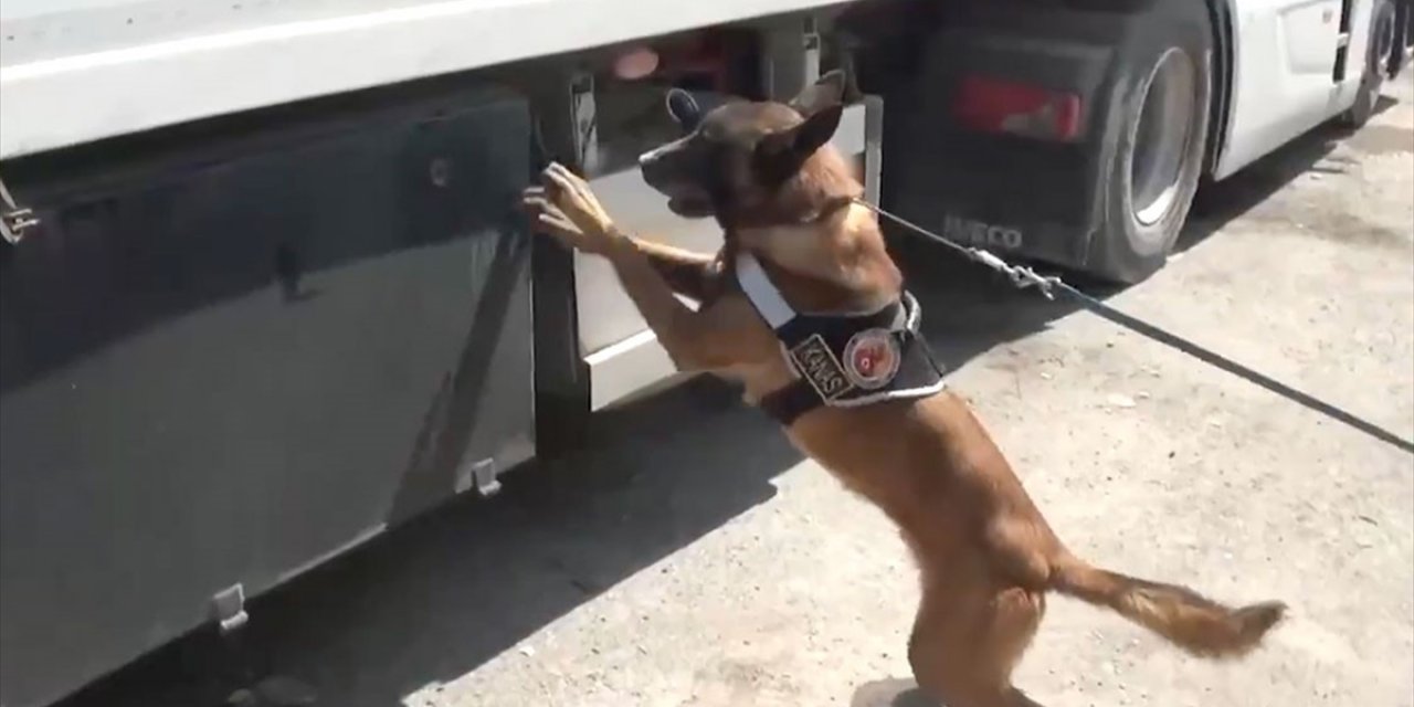 İstanbul'da 801 Kilogram Uyuşturucu Ele Geçirildi