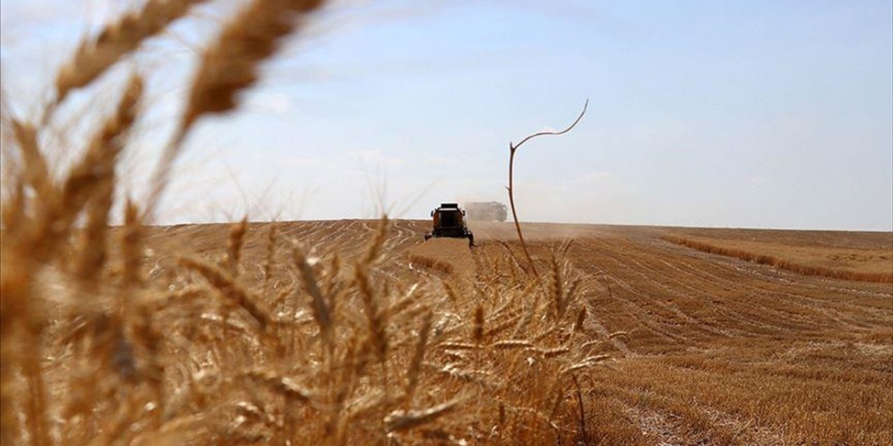 Tarım Orman Şurası "Bereketin Yüzyılı"na Rota Çizecek