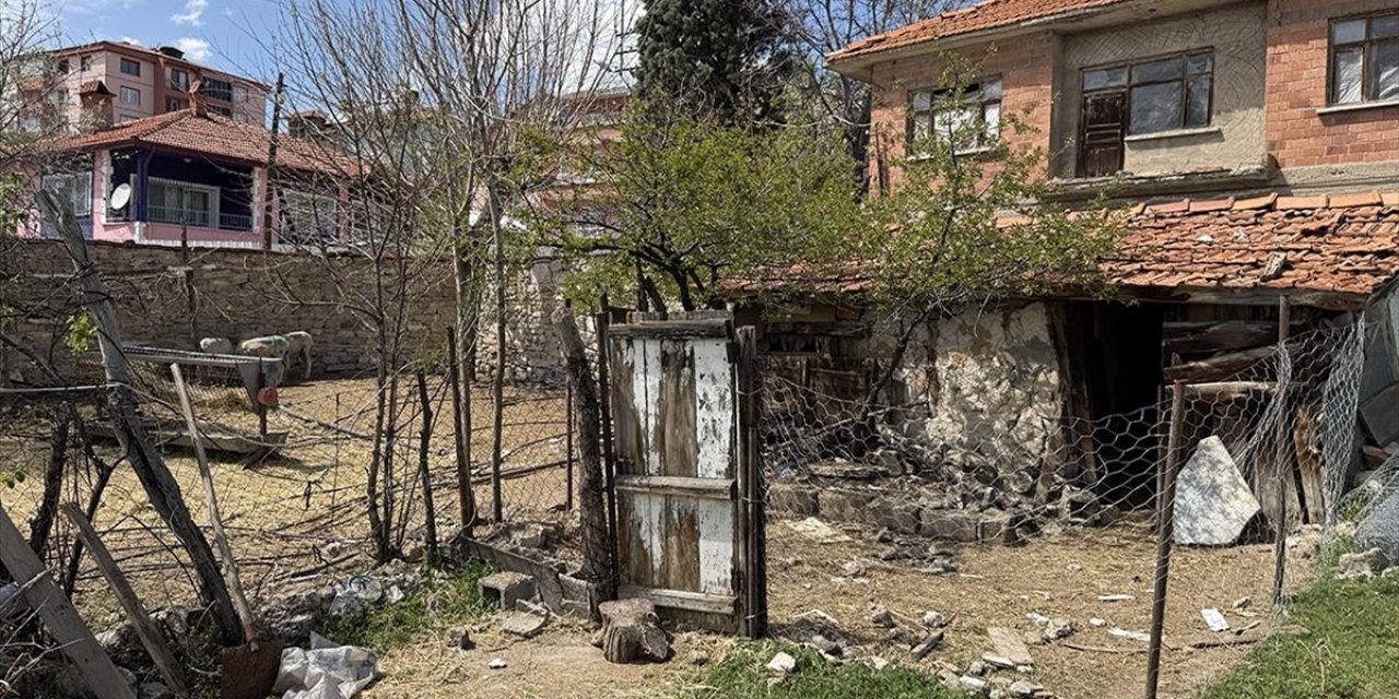 Kütahya'da Sahipsiz Köpeklerin Saldırdığı Koyunlar Telef Oldu
