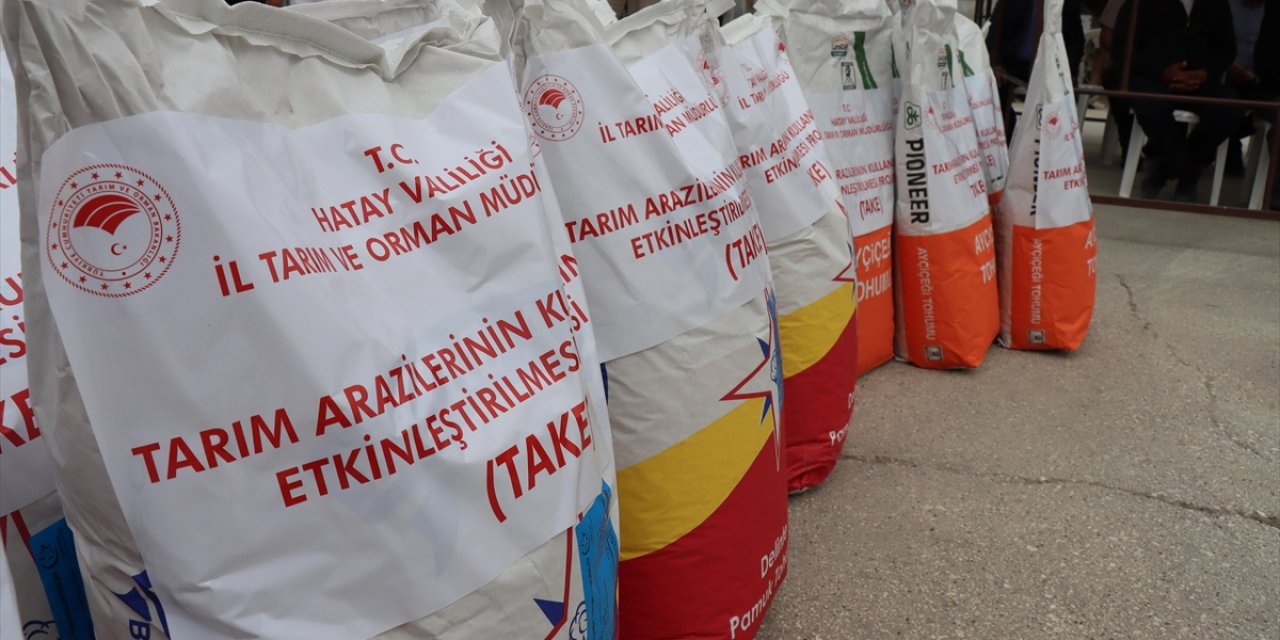 Hatay'da Depremzede Üreticilere Tohum ve Zeytin Hasat Makinesi Desteği