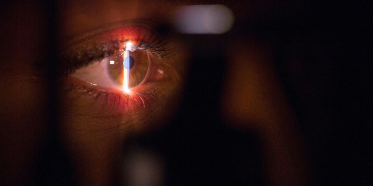 İngiliz Sanatçı Semple, Bilim İnsanlarınca Keşfedilen Rengi Taklit Ettiğini Öne Sürdü