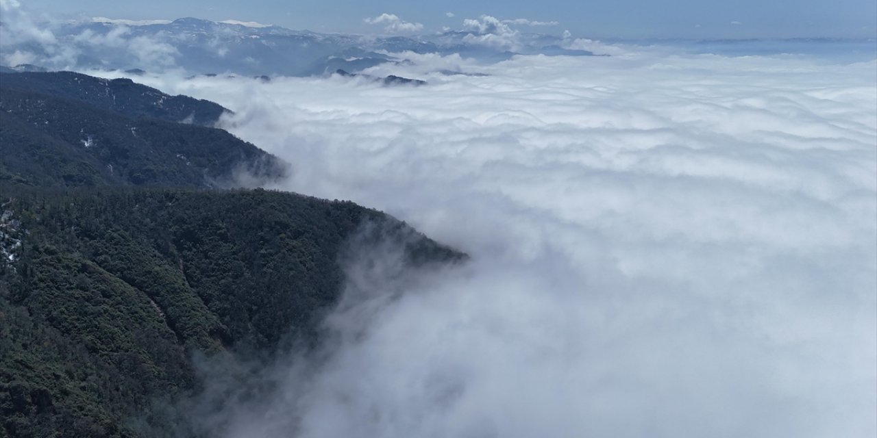 Ordu'da Etkili Olan Sis Hava Ulaşımında Aksamaya Neden Oluyor
