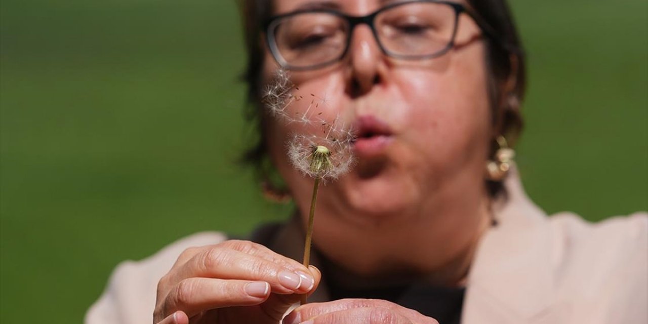 Alerjik Duyarlılığı Olanlar İçin Polen Yoğunluğu Bültenle Duyuruluyor
